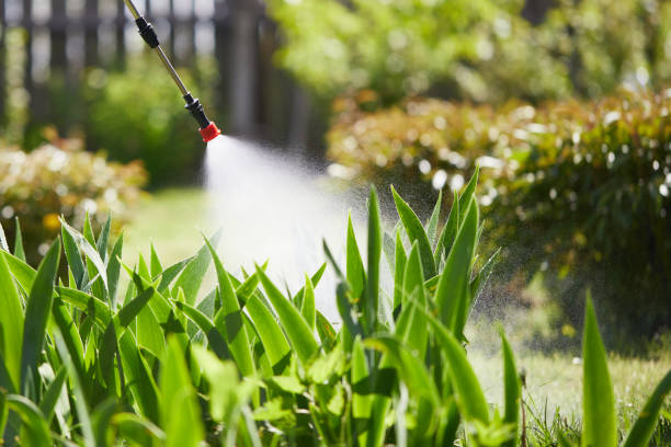 24/7 Emergency Mosquito Control experts in Taft Mosswood, CA