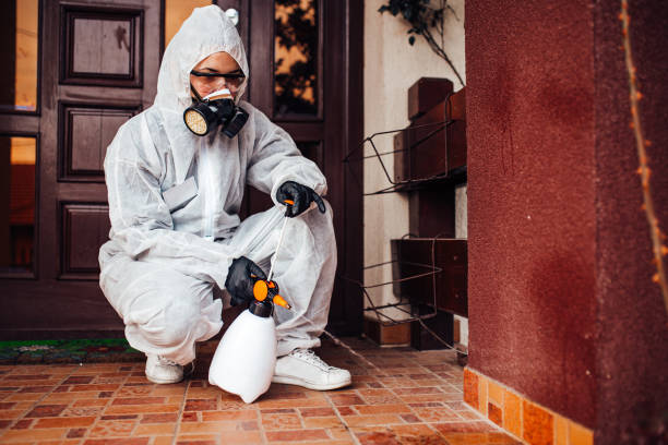 Reliable Mosquito Control contractor in Taft Mosswood, CA by Show Me Pest Control